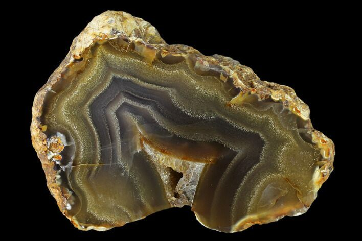 Polished Banded Agate Section #150532